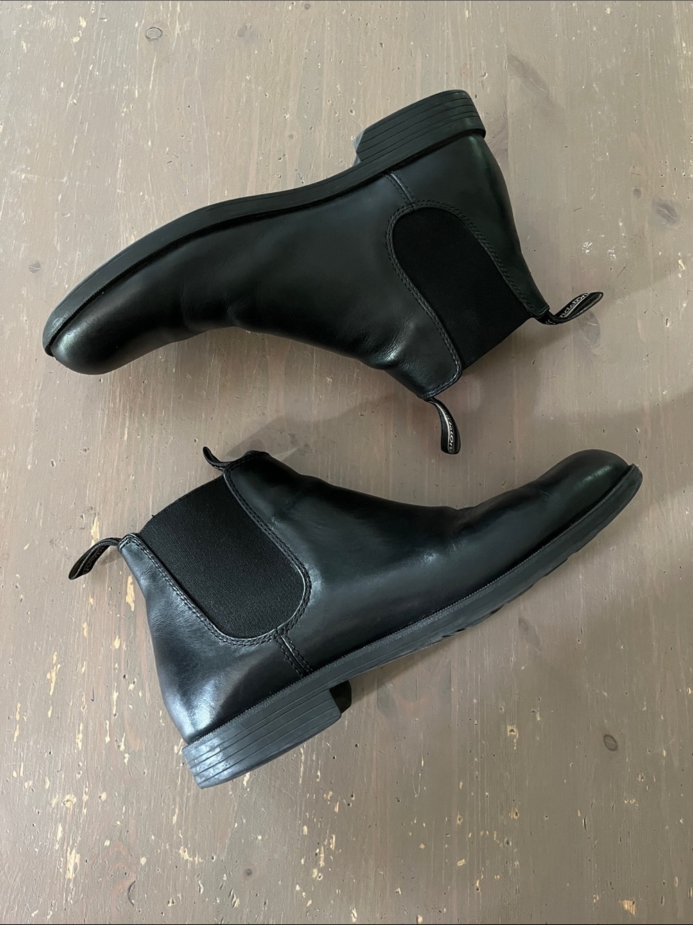 Blundstone MEN'S DRESS #1901